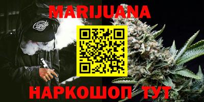 сатива Кунгур