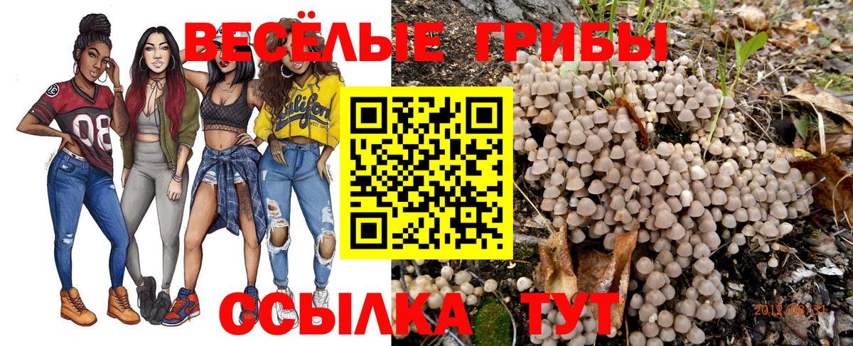 Галлюциногенные грибы GOLDEN TEACHER  Вход с VPN  закладки  Каменск-Уральский  Псилоцибиновые грибы Cubensis 